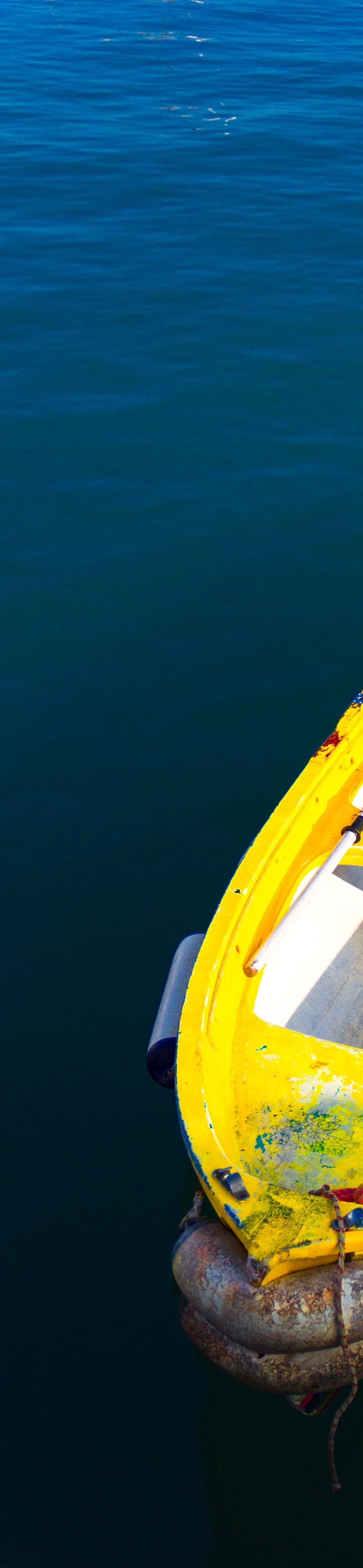 ESCURSIONE PRIVATA IN BARCA A PORTOFINO