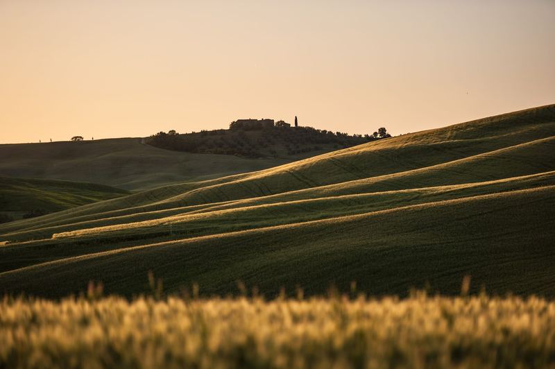 From Rome to San Gimignano and Siena