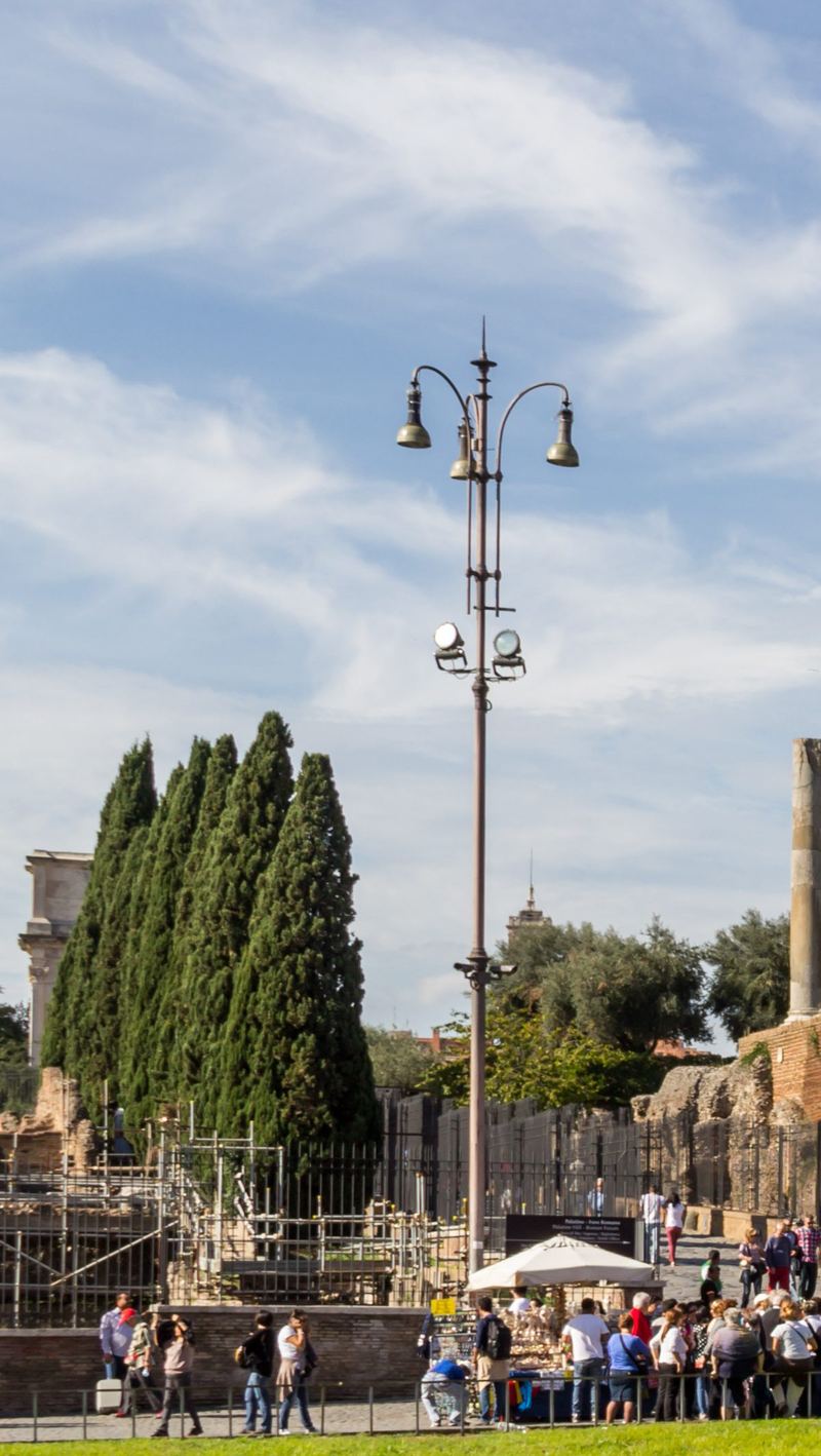 Walking Tour of the Colosseum, the Roman Forum and Palatine Hill